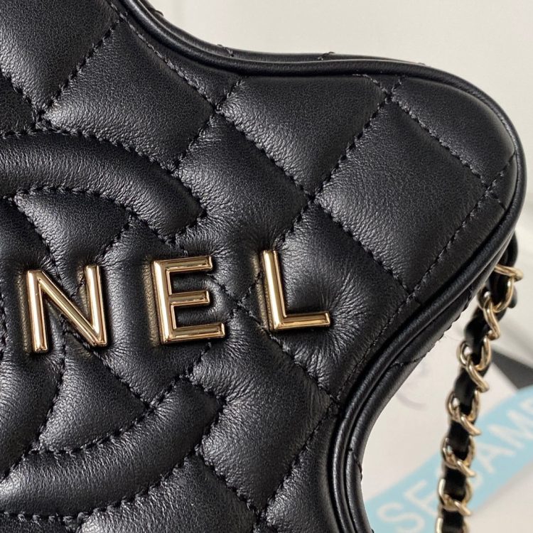 Chanel Star women's bag [Official number: 4579] (2) - Image 5